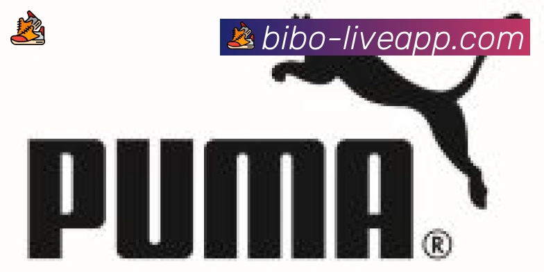 必博bibo官网体育合作伙伴