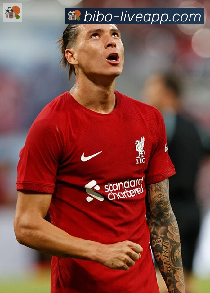 维尼修斯